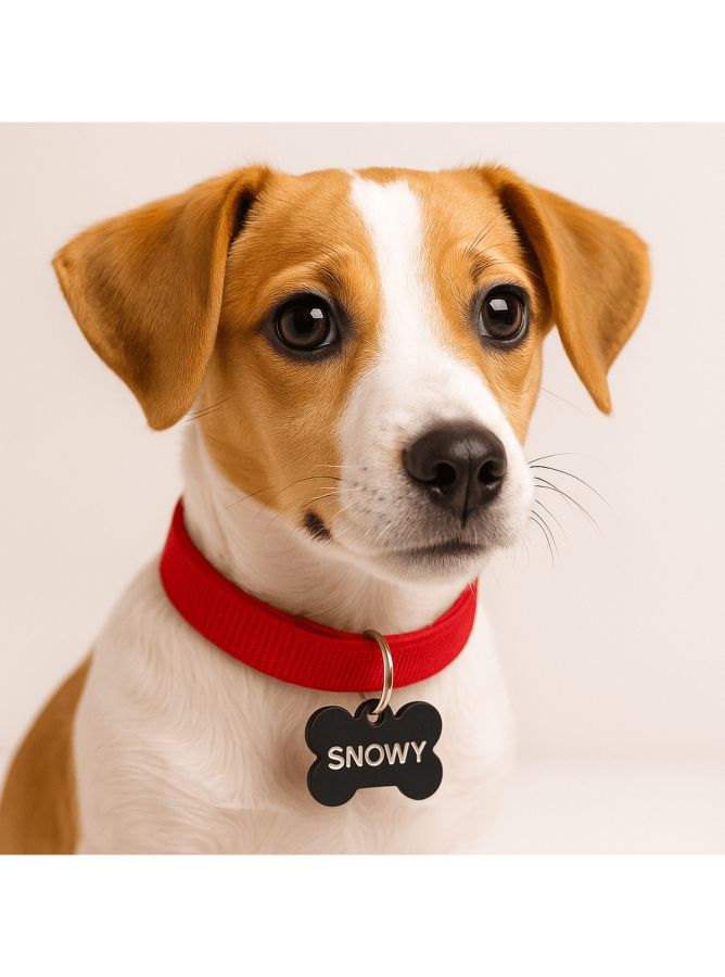 Grande médaille pour chien gravée | Omnishirt