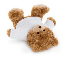 Teddybeer bedrukken | Sublistar